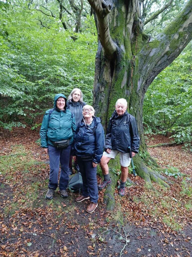 Judy woods Sep 2026